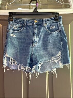 American Eagle Outfitters Distressed Blue Denim Cutoff Shorts